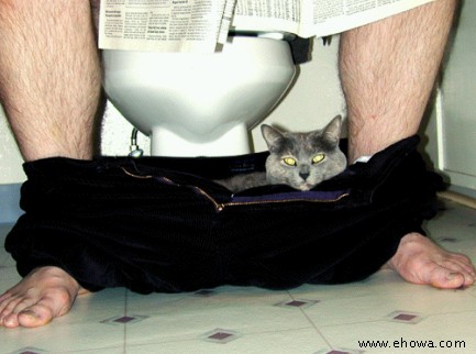 pants.jpg