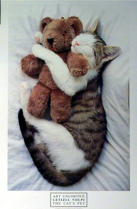teddy.jpg